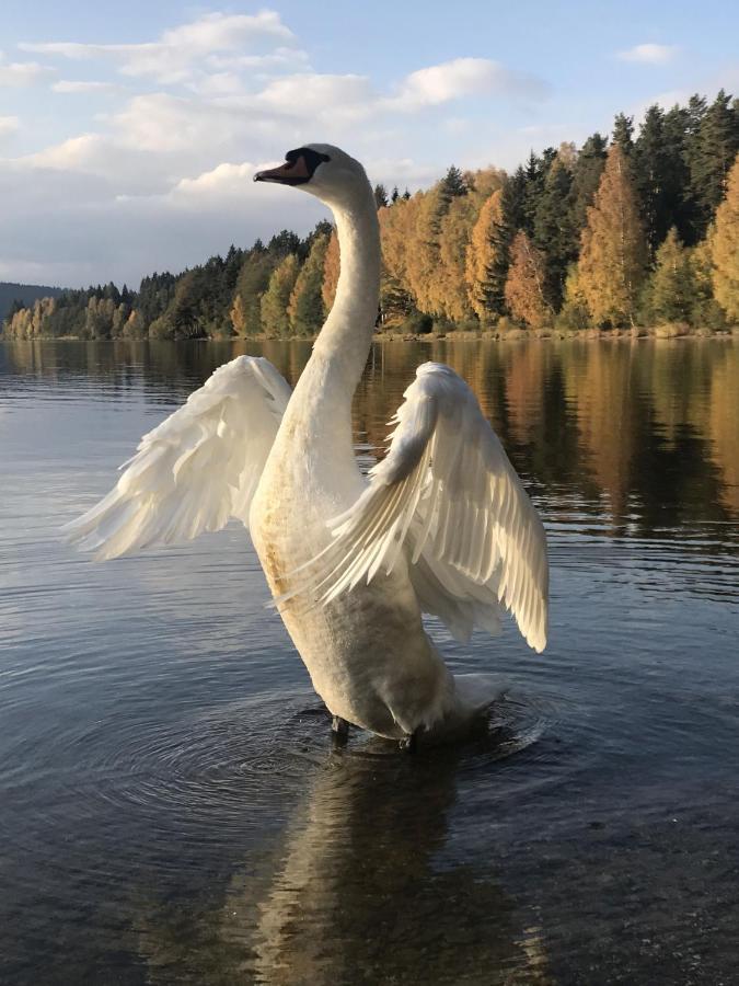 Dum Na Lipne Villa Lipno nad Vltavou Dış mekan fotoğraf