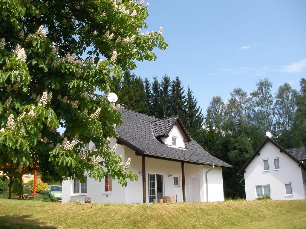 Dum Na Lipne Villa Lipno nad Vltavou Oda fotoğraf